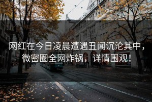 网红在今日凌晨遭遇丑闻沉沦其中，微密圈全网炸锅，详情围观！