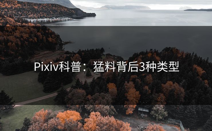 Pixiv科普：猛料背后3种类型