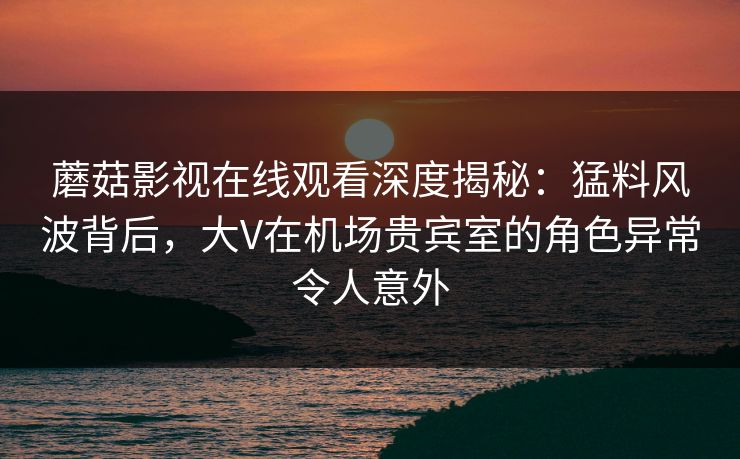 蘑菇影视在线观看深度揭秘：猛料风波背后，大V在机场贵宾室的角色异常令人意外