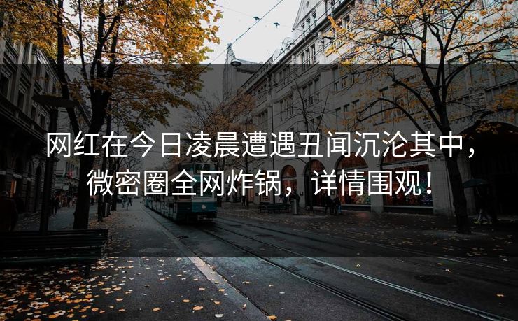 网红在今日凌晨遭遇丑闻沉沦其中，微密圈全网炸锅，详情围观！