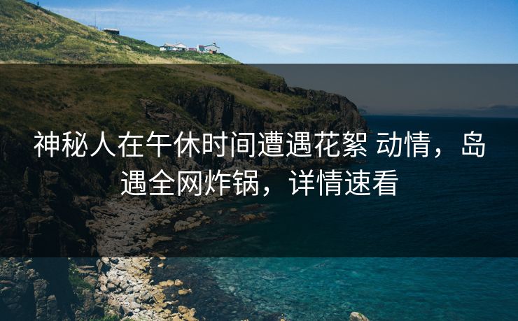 神秘人在午休时间遭遇花絮 动情，岛遇全网炸锅，详情速看