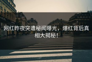 网红昨夜突遭秘闻曝光，爆红背后真相大揭秘！