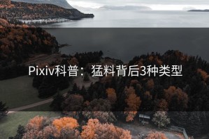 Pixiv科普：猛料背后3种类型